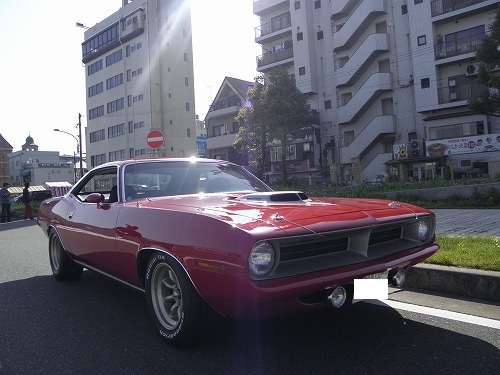 バラクーダ5