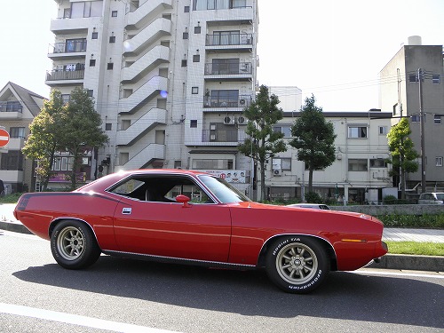 バラクーダ8