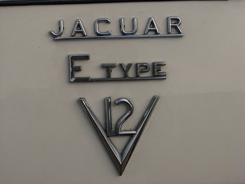 ジャガー11