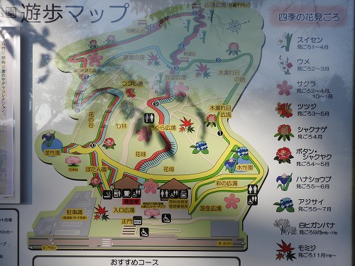 白野江植物公園26