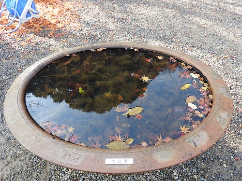 白野江植物公園22