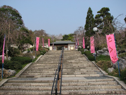白野江植物公園4