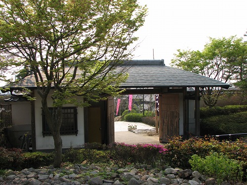 白野江植物公園2