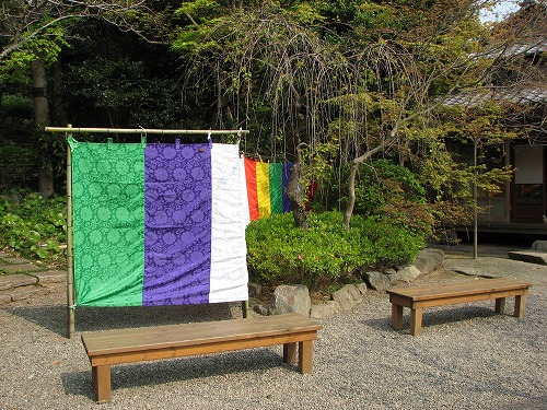 白野江植物公園7