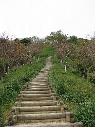白野江植物公園22