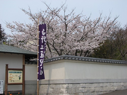 白野江植物公園10