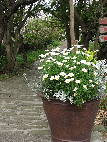 白野江植物公園17