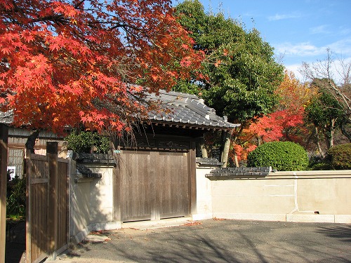 紅葉2