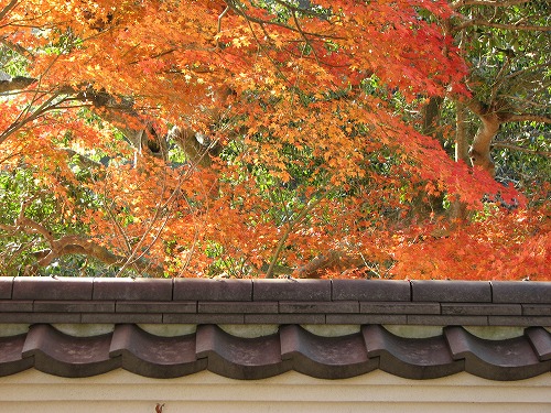 紅葉13