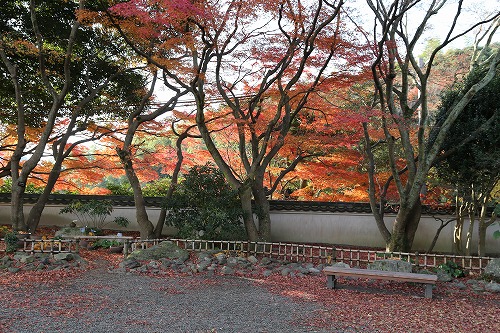紅葉32