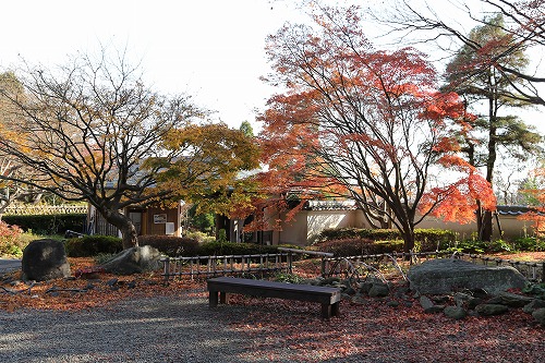 紅葉3