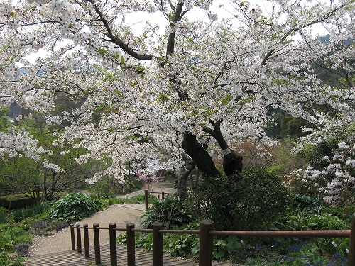 広場1