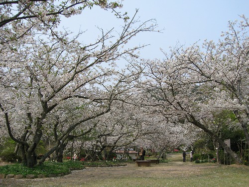 広場2