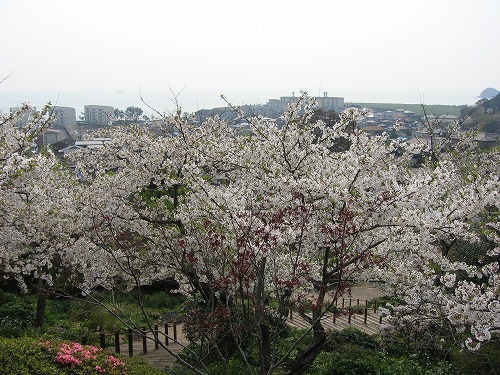広場3
