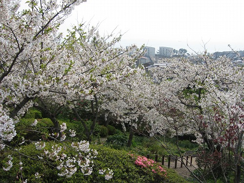 広場4
