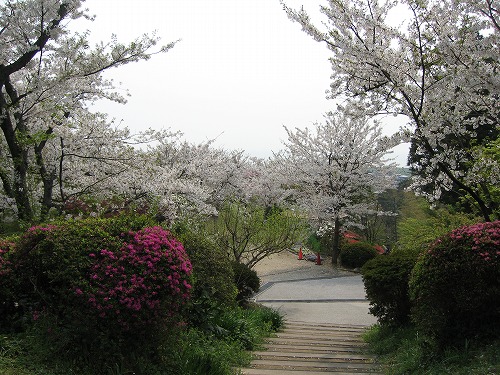 広場6