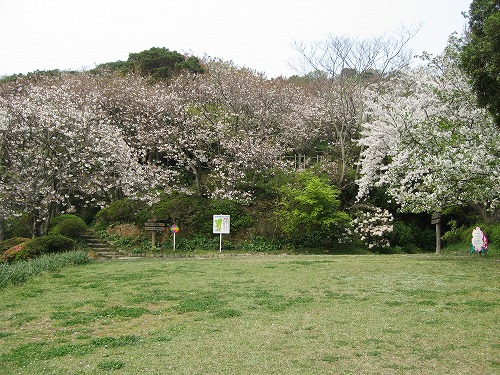 広場8