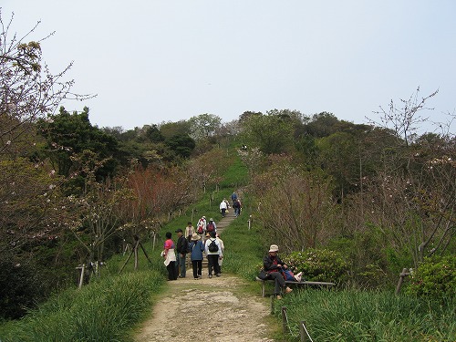 広場11