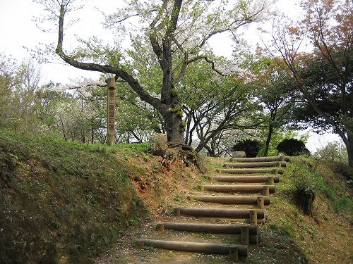 広場13