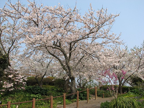 広場14