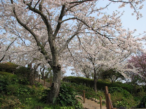 広場15