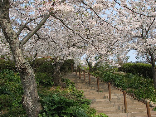 広場16
