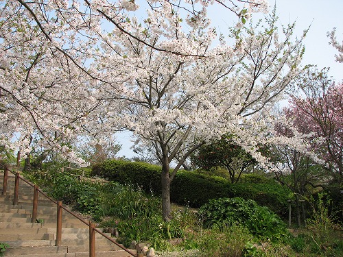 広場17