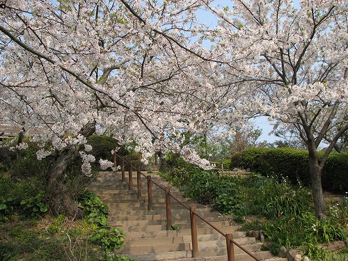 広場18