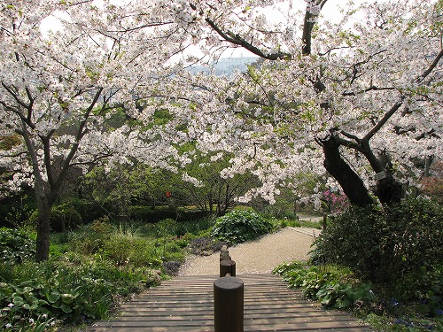 広場19