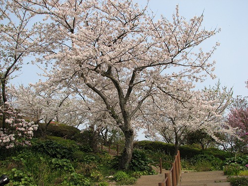 広場21