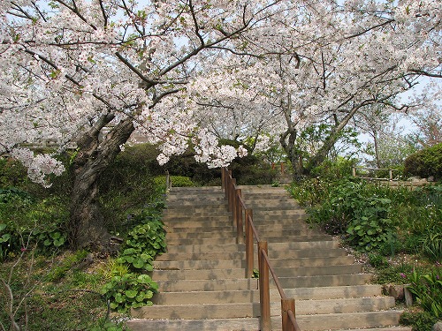 広場22
