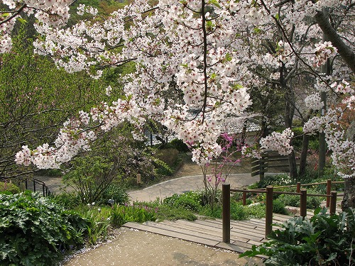 広場23