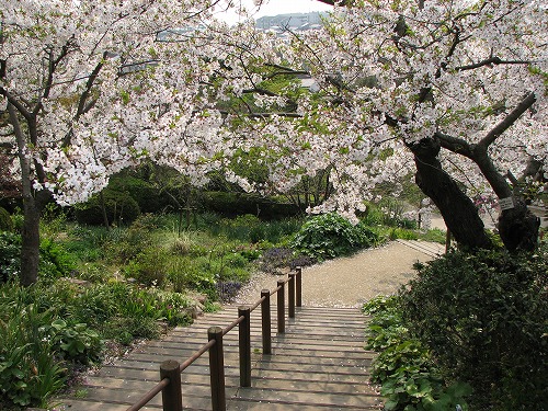 広場24