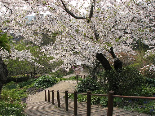 広場25