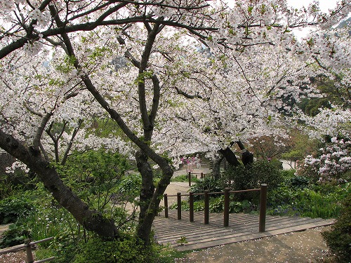 広場26