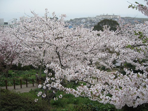 広場33
