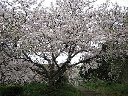 広場34