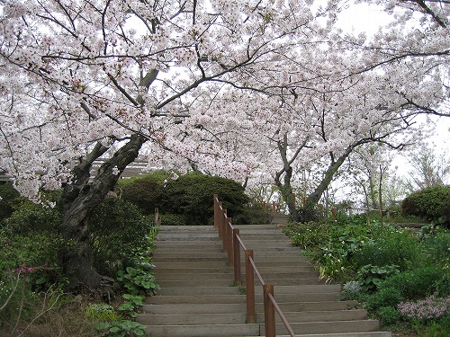 広場35
