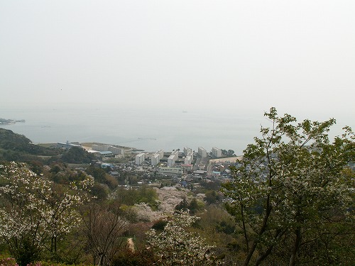 広場36