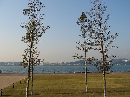 海辺の道19