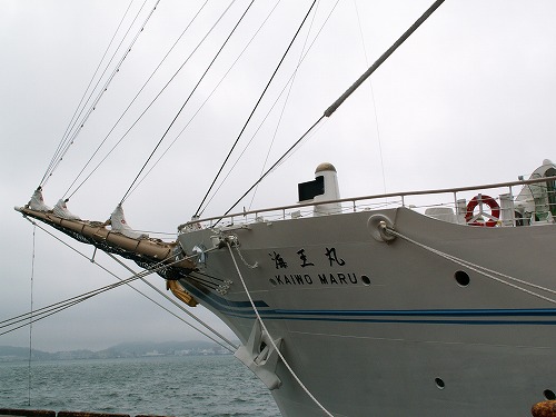 海王丸5