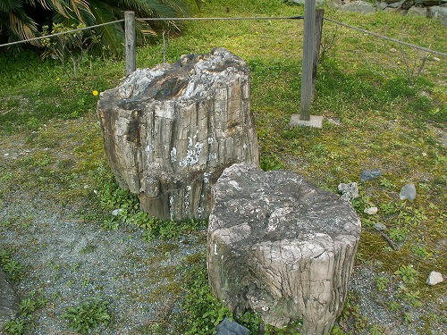 小倉城22