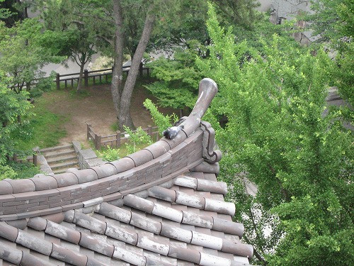 鯱12