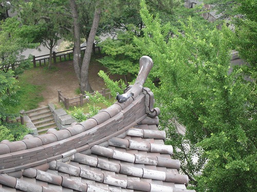 鯱14