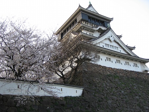 桜2
