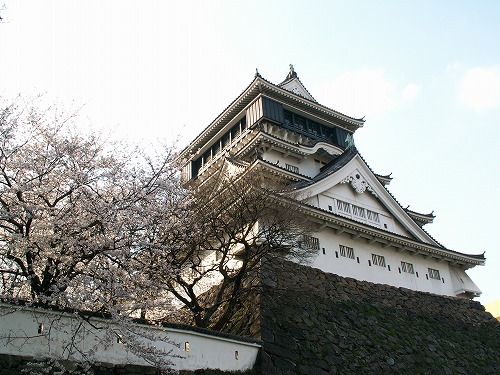 桜12