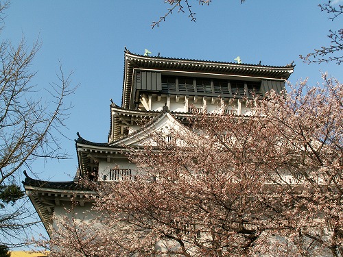 桜21