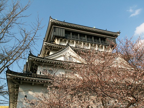 桜22