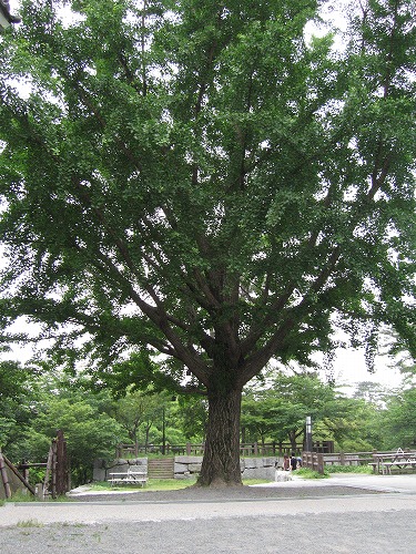 小倉城24