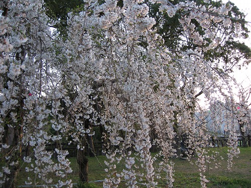 小倉城3